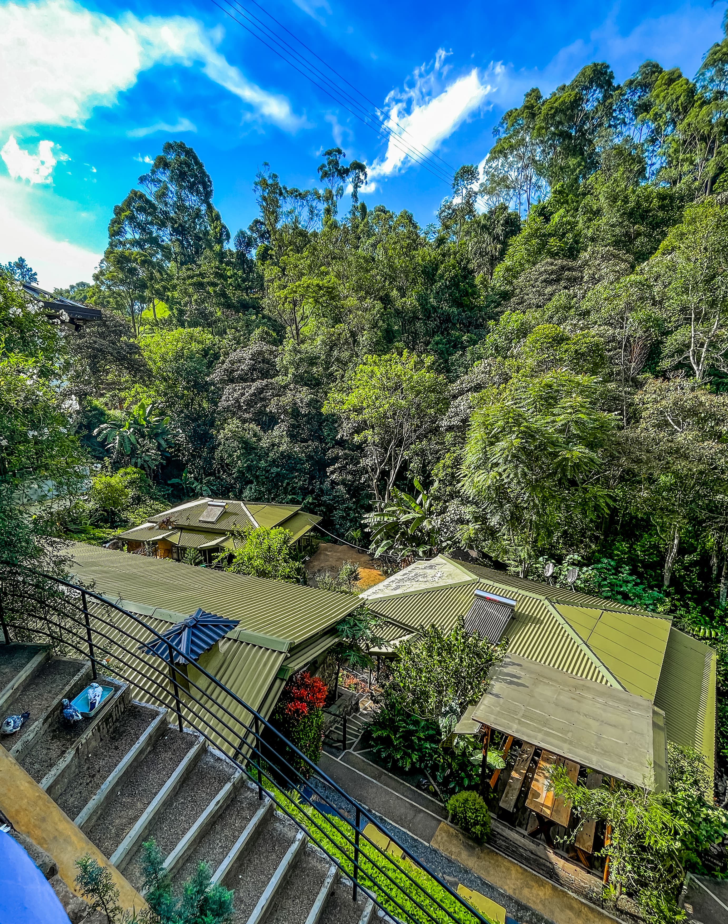 A bright hill-country view experienced by guests
