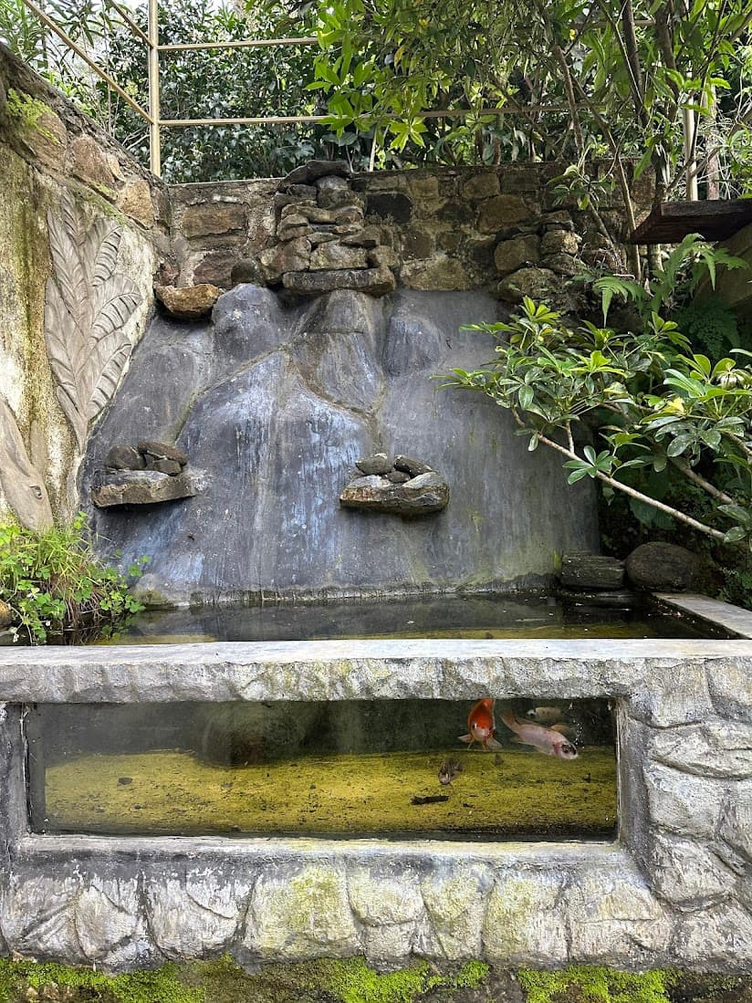 Small garden pond in the chalet grounds