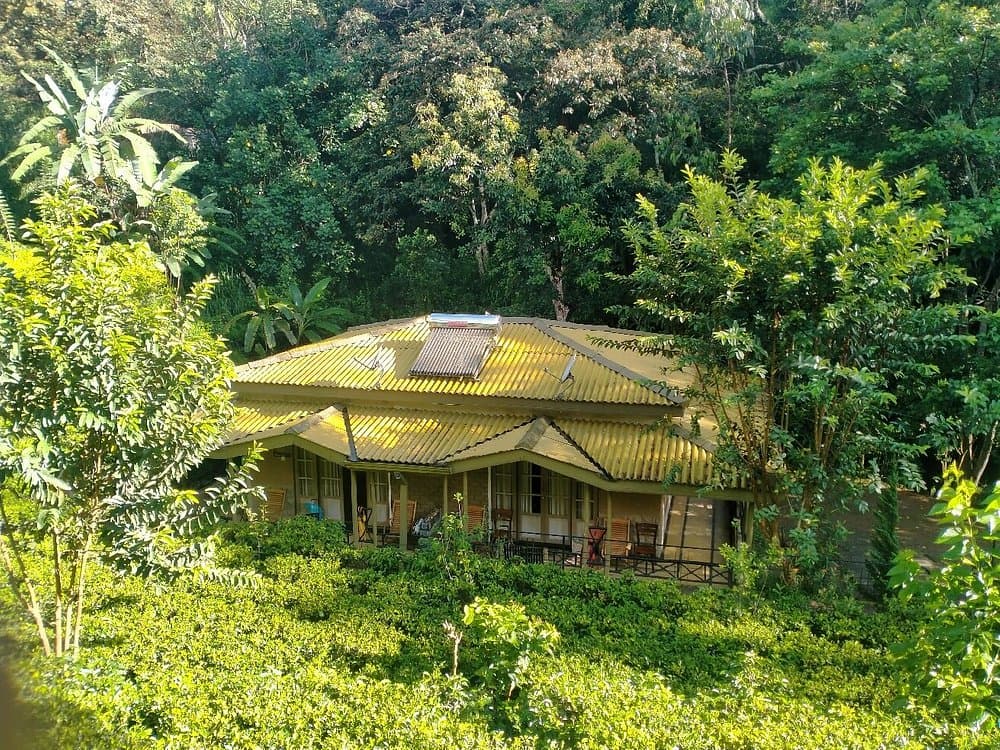 Train View Chalet tucked among tea bushes and forest