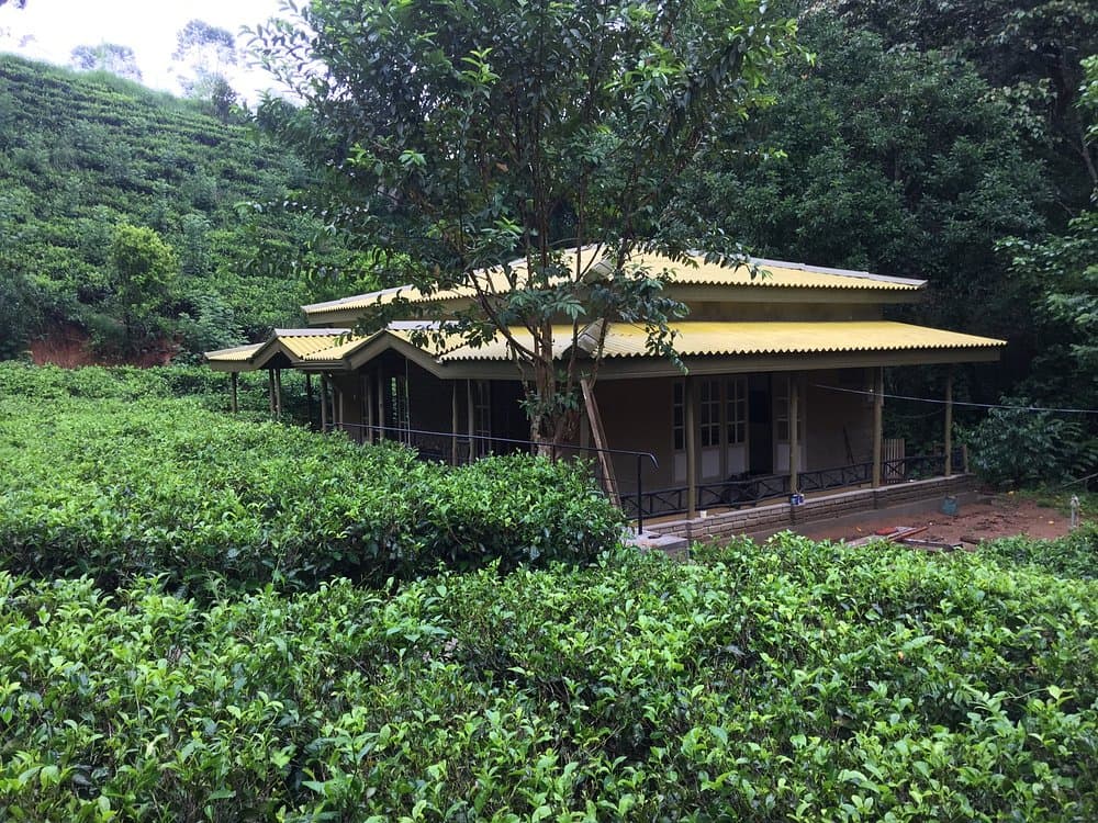 Train View Chalet surrounded by tea bushes and hill-country forest