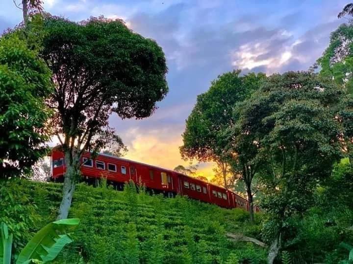 Red train travelling across the green hill-country landscape