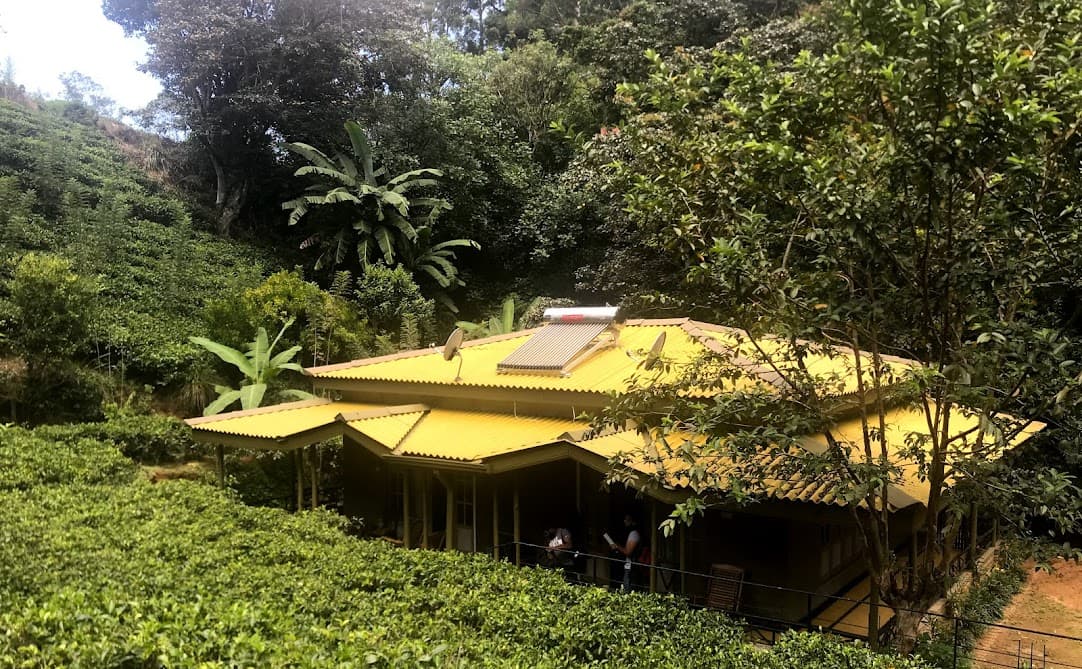 Original chalet building among mature trees