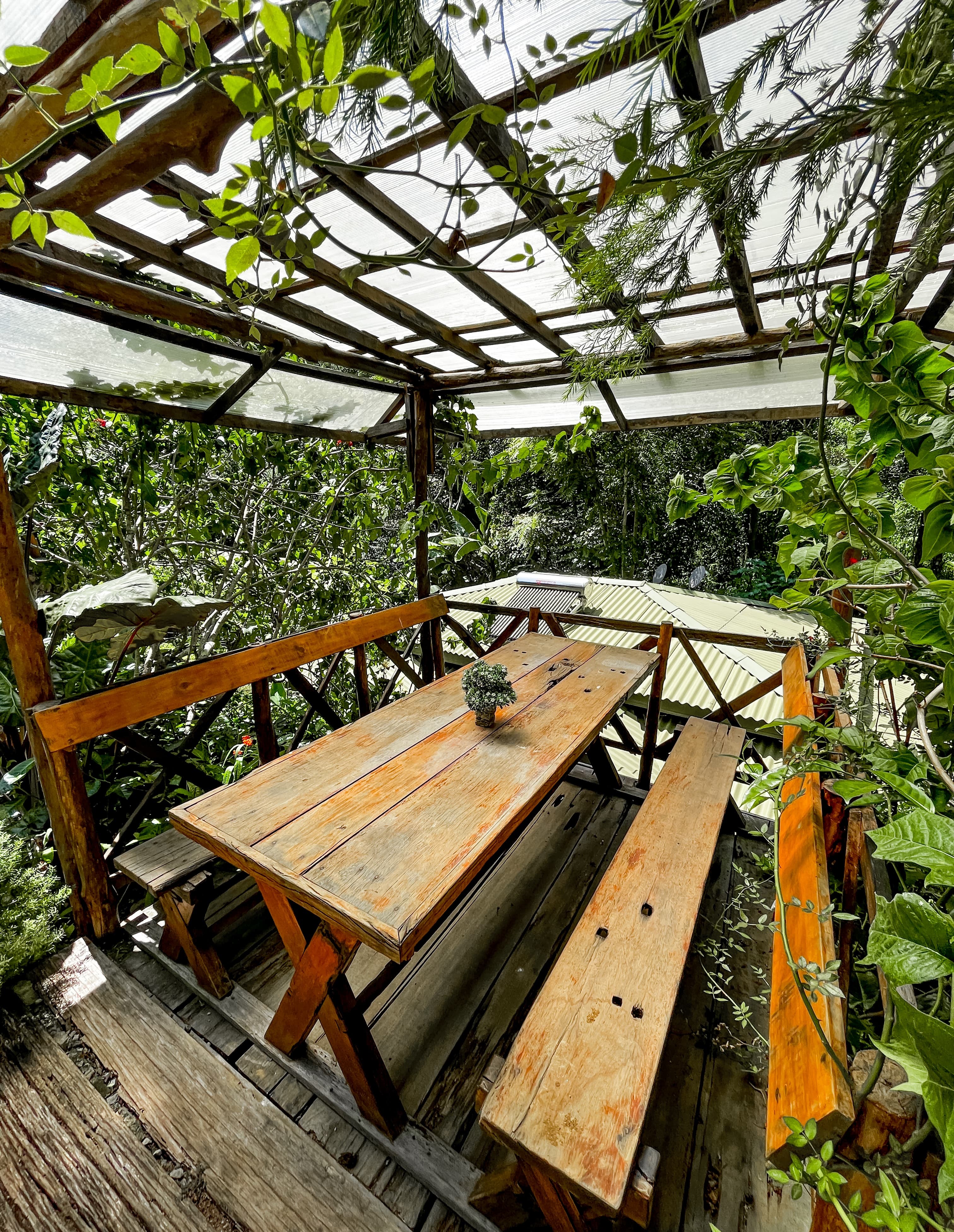 Open-air dining terrace surrounded by greenery