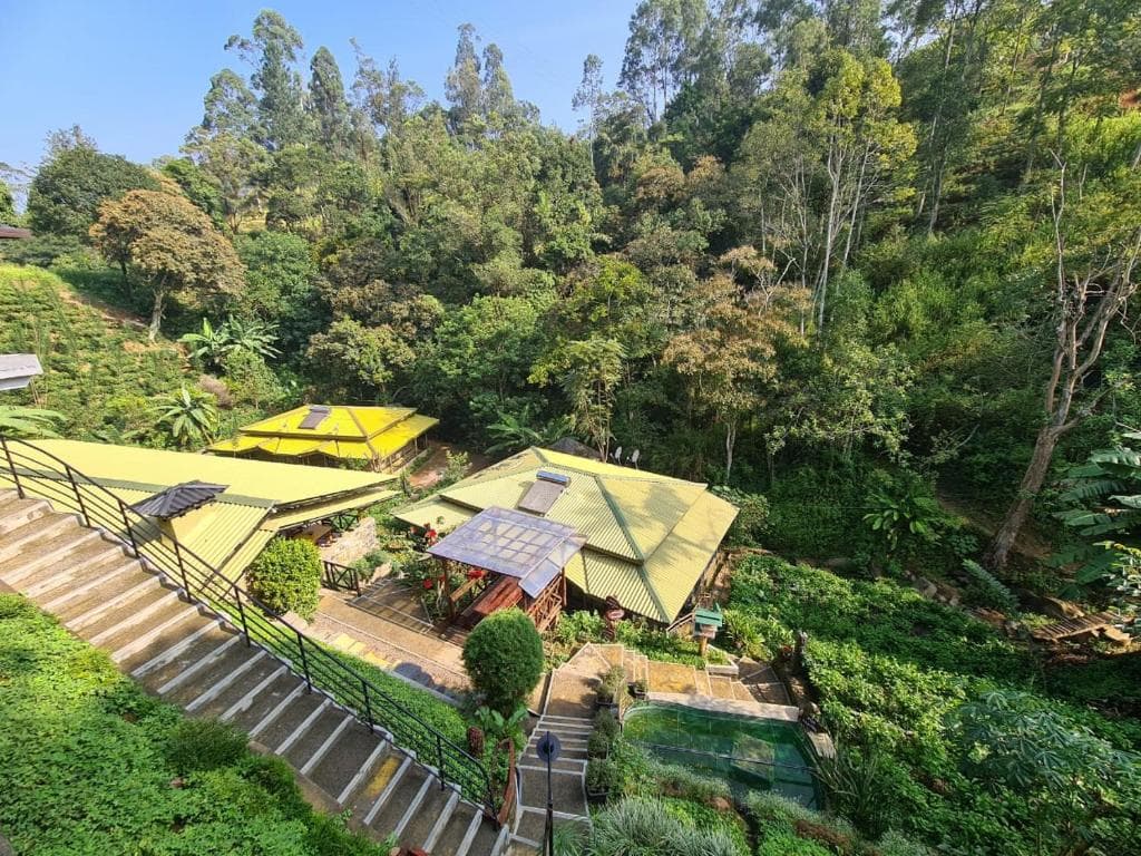 Aerial view of Train View Chalet surrounded by hill-country forest